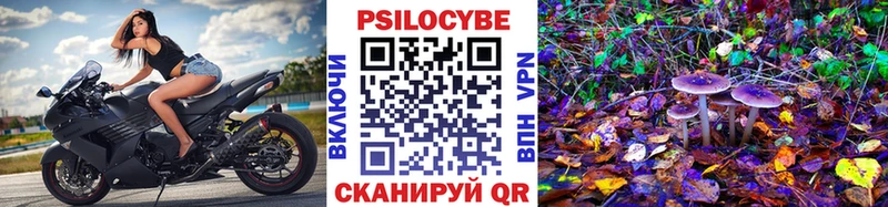 купить закладку  Ковылкино  Галлюциногенные грибы Cubensis 